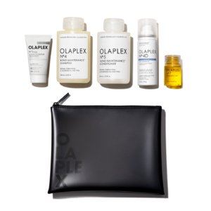 THE HEALTHY HAIR TRAVEL SET